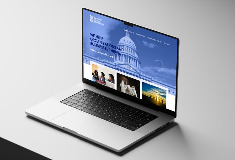 Catalyst Global Strategies case study
